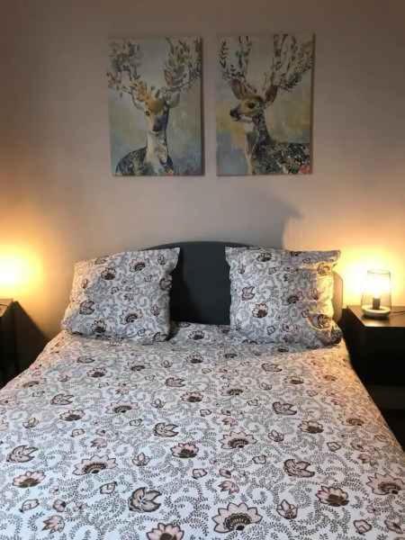 Bel Appartement Hypercentre T3/70 M2 Clermont-Ferrand Kültér fotó